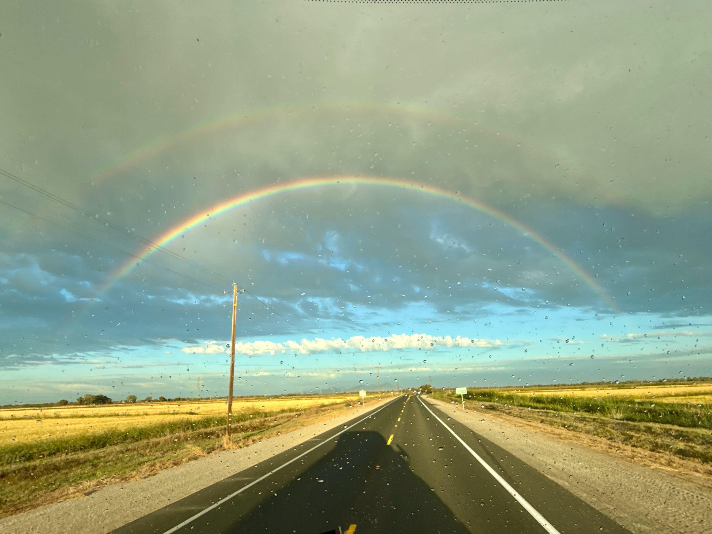 Handbags at Home, Rainbows on the Road